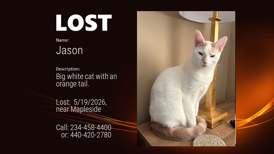 Petfinder Jason