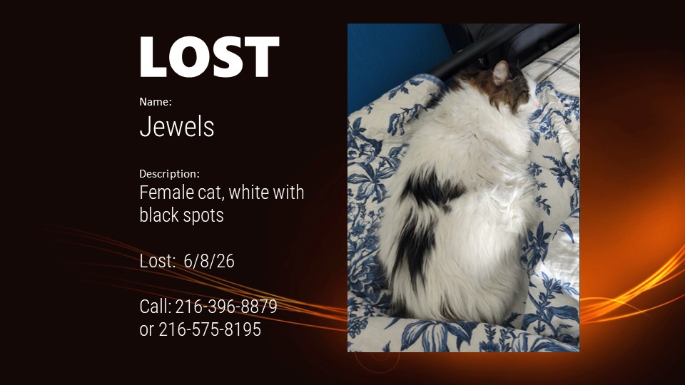 Pet finder Jewels